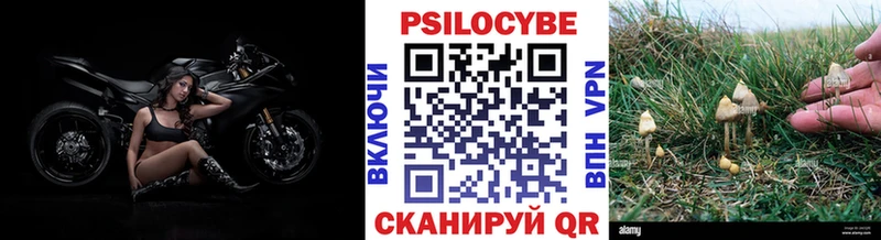 Галлюциногенные грибы прущие грибы  Пущино 